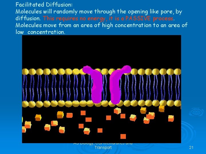 Facilitated Diffusion: Molecules will randomly move through the opening like pore, by diffusion. This