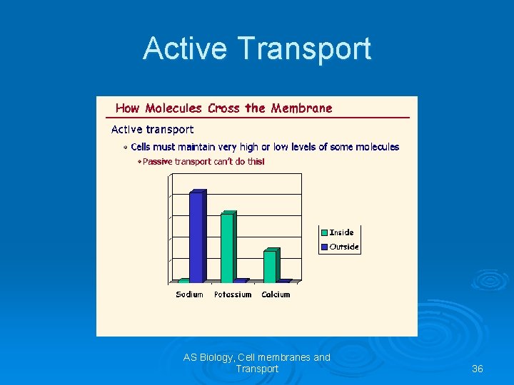 Active Transport AS Biology, Cell membranes and Transport 36 