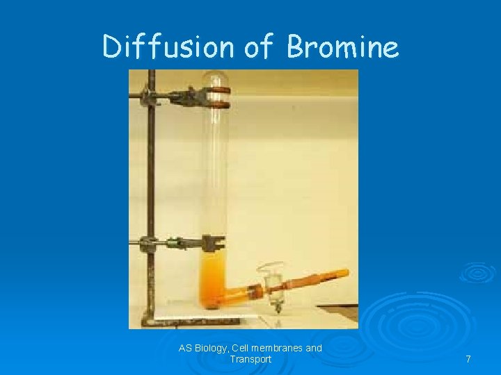 Diffusion of Bromine AS Biology, Cell membranes and Transport 7 