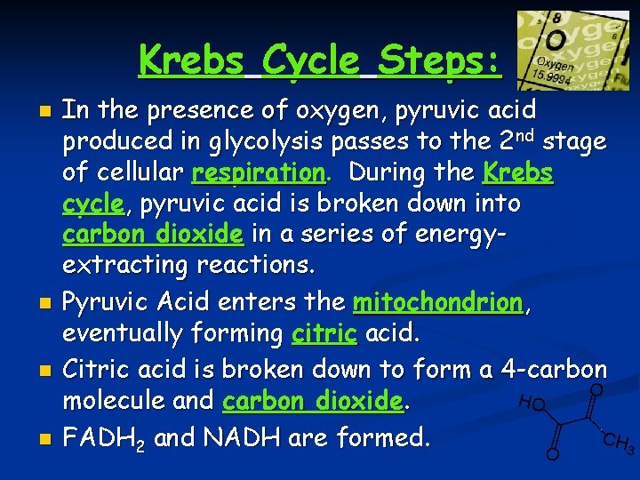 Krebs Cycle Steps: n n In the presence of oxygen, pyruvic acid produced in