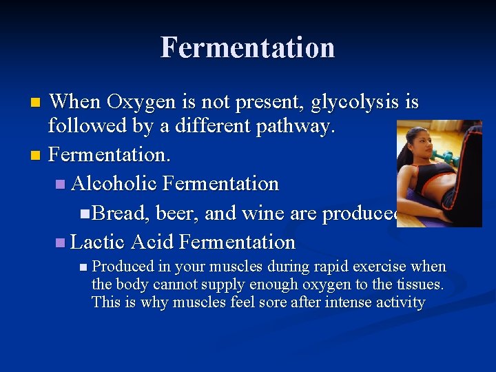 Fermentation When Oxygen is not present, glycolysis is followed by a different pathway. n