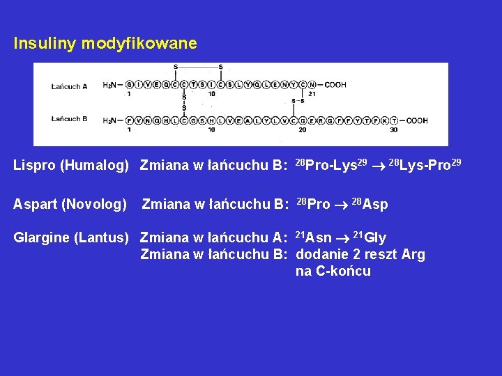 Insuliny modyfikowane Lispro (Humalog) Zmiana w łańcuchu B: 28 Pro-Lys 29 Aspart (Novolog) 28