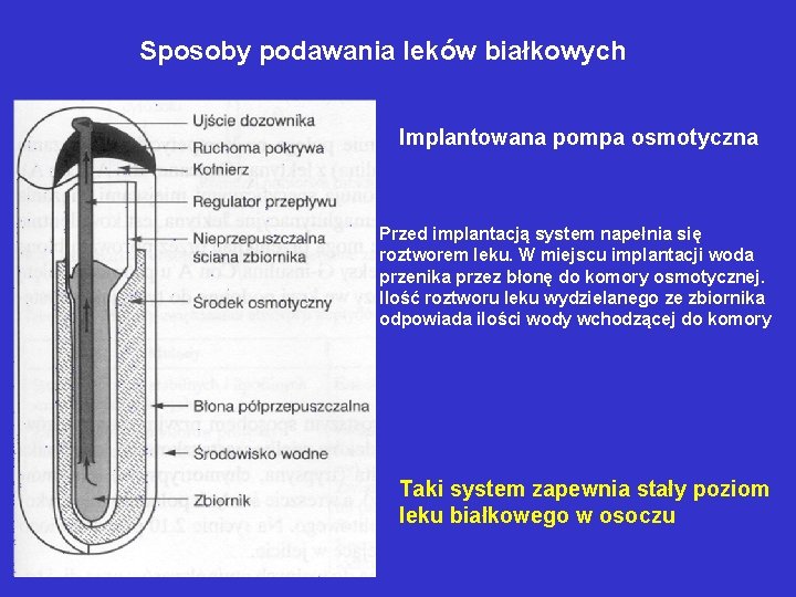 Sposoby podawania leków białkowych Implantowana pompa osmotyczna Przed implantacją system napełnia się roztworem leku.