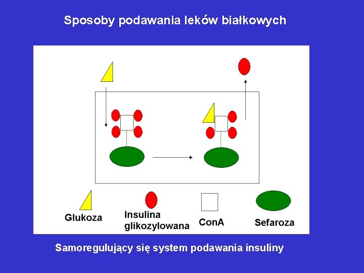 Sposoby podawania leków białkowych Samoregulujący się system podawania insuliny 