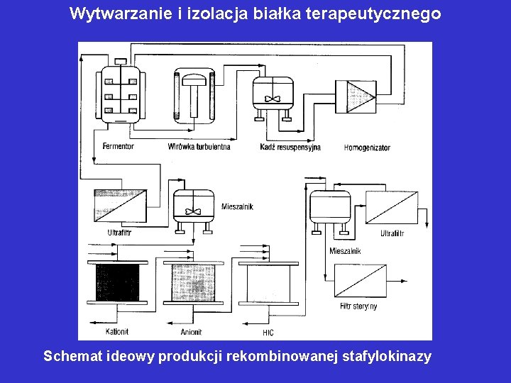 Wytwarzanie i izolacja białka terapeutycznego Schemat ideowy produkcji rekombinowanej stafylokinazy 