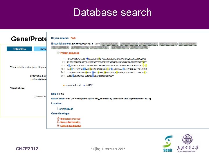Database search Gene/Protein CNCP 2012 Beijing, November 2012 Database search Gene/Protein CNCP 2012 Beijing, November 2012