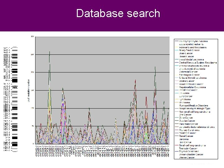 Database search Chromosome location CNCP 2012 Beijing, November 2012 Database search Chromosome location CNCP 2012 Beijing, November 2012