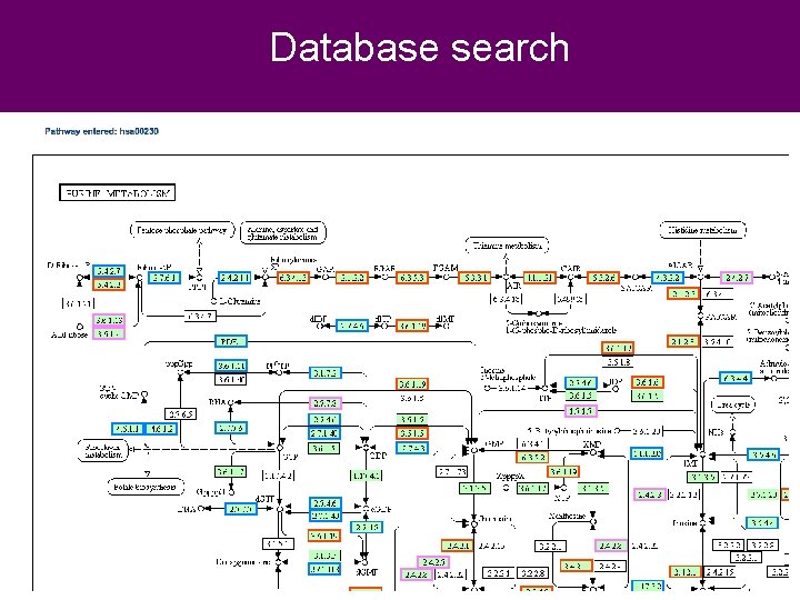 Database search Pathway CNCP 2012 Beijing, November 2012 Database search Pathway CNCP 2012 Beijing, November 2012