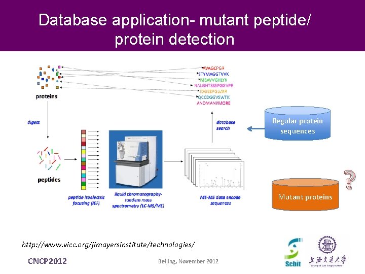 Database application- mutant peptide/ protein detection Regular protein sequences Mutant proteins http: //www. vicc. Database application- mutant peptide/ protein detection Regular protein sequences Mutant proteins http: //www. vicc.