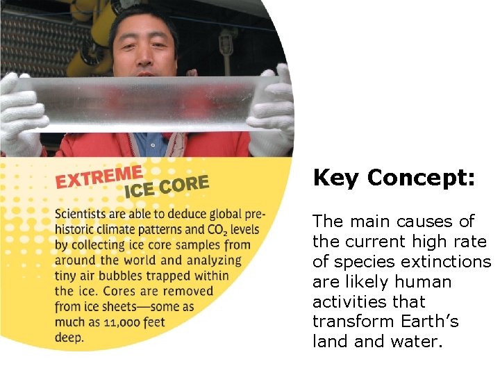 Key Concept: The main causes of the current high rate of species extinctions are