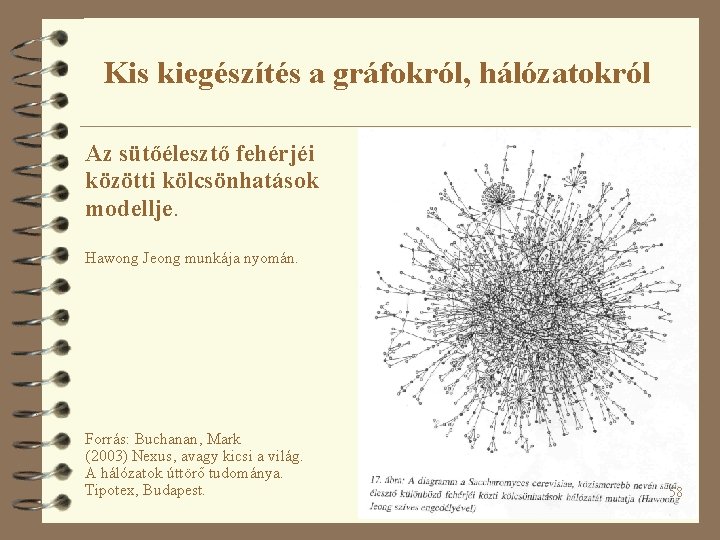 Kis kiegészítés a gráfokról, hálózatokról Az sütőélesztő fehérjéi közötti kölcsönhatások modellje. Hawong Jeong munkája