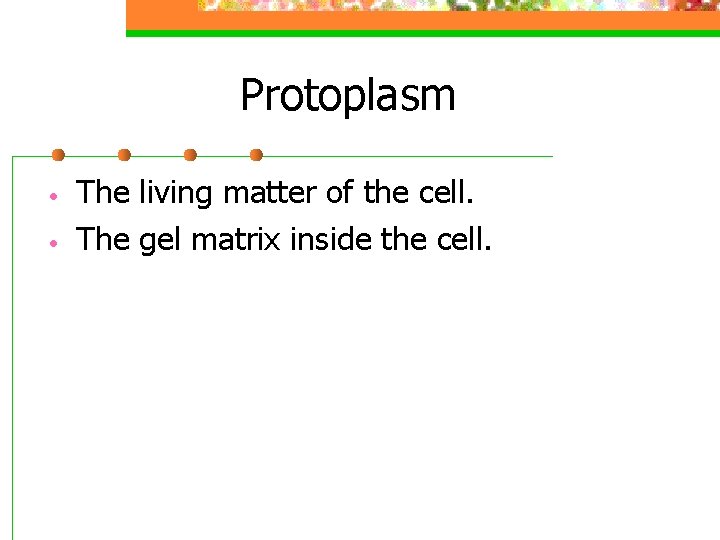 Protoplasm • • The living matter of the cell. The gel matrix inside the