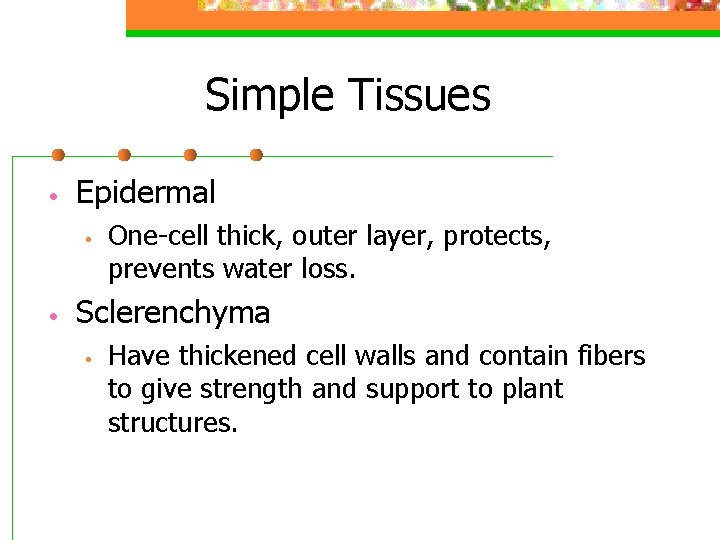 Simple Tissues • Epidermal • • One-cell thick, outer layer, protects, prevents water loss.