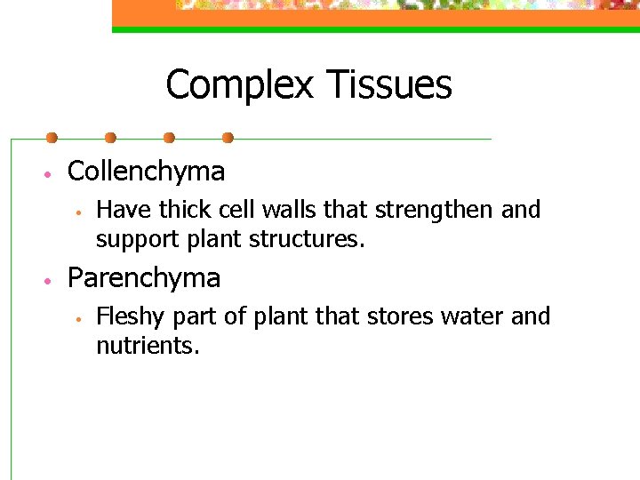 Complex Tissues • Collenchyma • • Have thick cell walls that strengthen and support