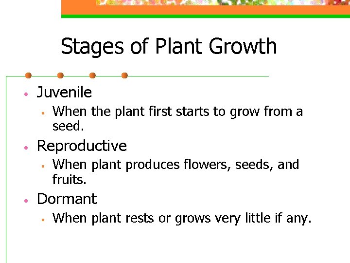 Stages of Plant Growth • Juvenile • • Reproductive • • When the plant