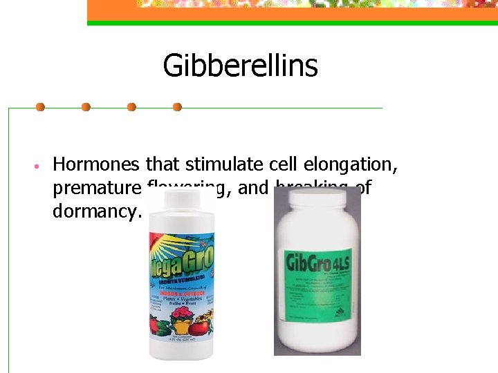 Gibberellins • Hormones that stimulate cell elongation, premature flowering, and breaking of dormancy. 
