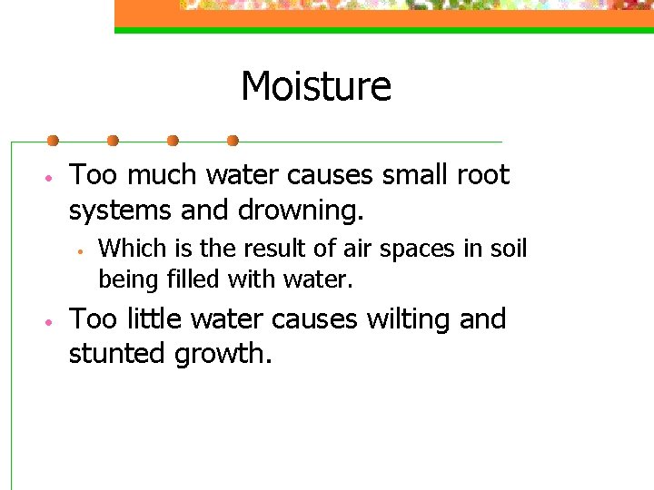 Moisture • Too much water causes small root systems and drowning. • • Which