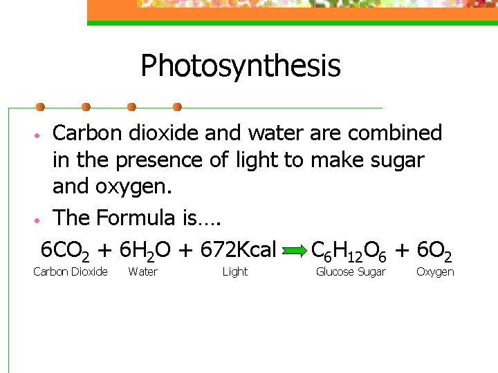 Photosynthesis Carbon dioxide and water are combined in the presence of light to make