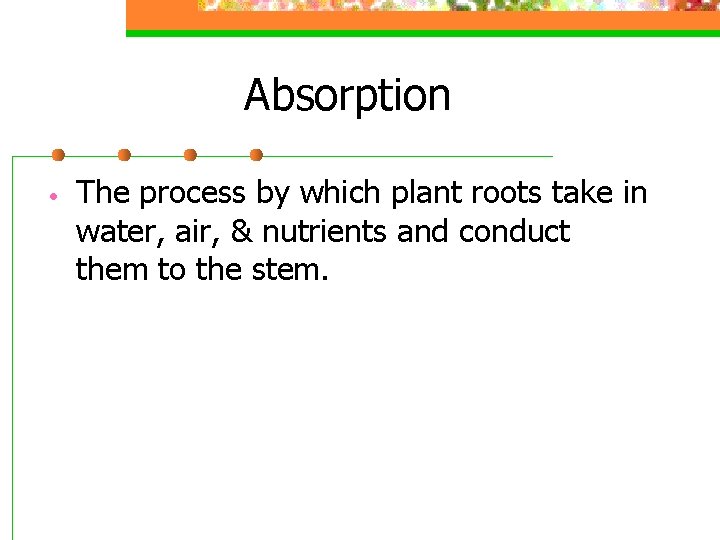 Absorption • The process by which plant roots take in water, air, & nutrients