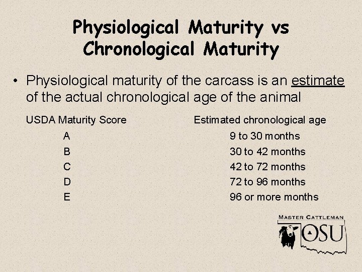 Physiological Maturity vs Chronological Maturity • Physiological maturity of the carcass is an estimate