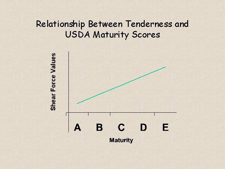 Shear Force Values Relationship Between Tenderness and USDA Maturity Scores 