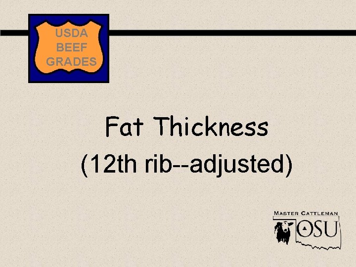 USDA BEEF GRADES Fat Thickness (12 th rib--adjusted) 