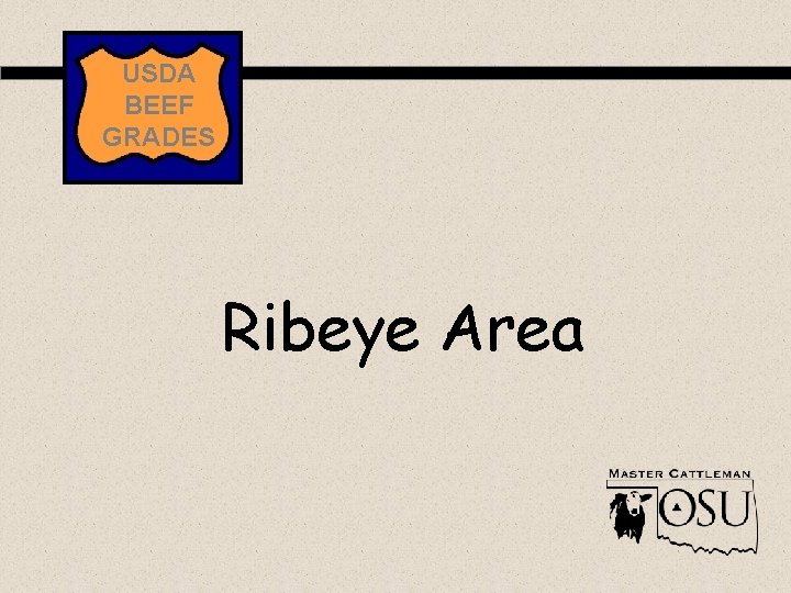 USDA BEEF GRADES Ribeye Area 