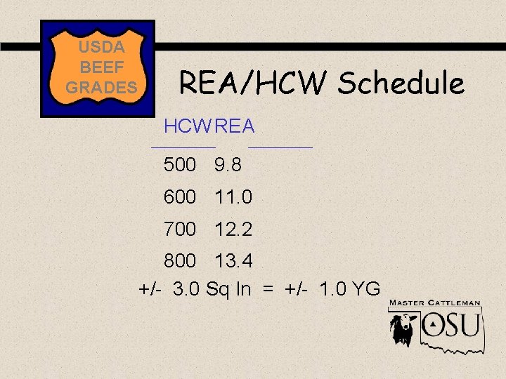 USDA BEEF GRADES REA/HCW Schedule HCW REA 500 9. 8 600 11. 0 700