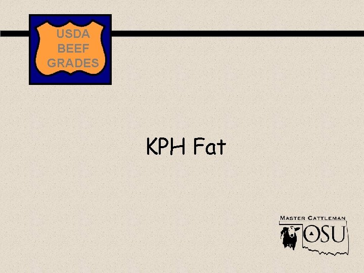 USDA BEEF GRADES KPH Fat 