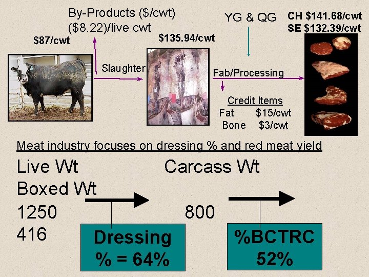 By-Products ($/cwt) ($8. 22)/live cwt YG & QG CH $141. 68/cwt SE $132. 39/cwt