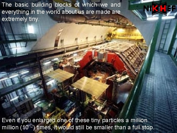 The basic building blocks of which we and everything in the world about us