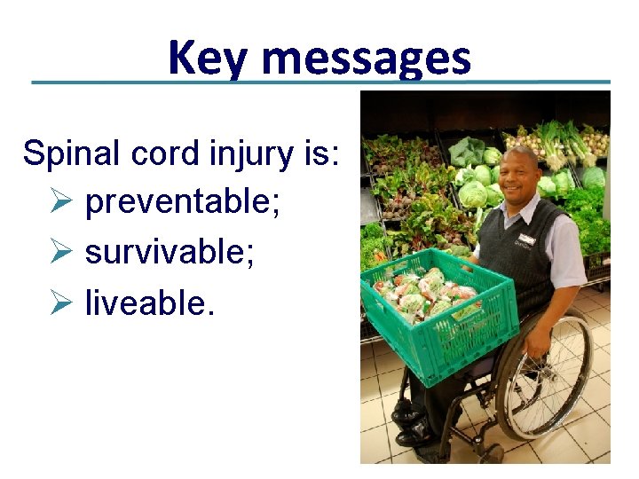 Key messages Spinal cord injury is: Ø preventable; Ø survivable; Ø liveable. 