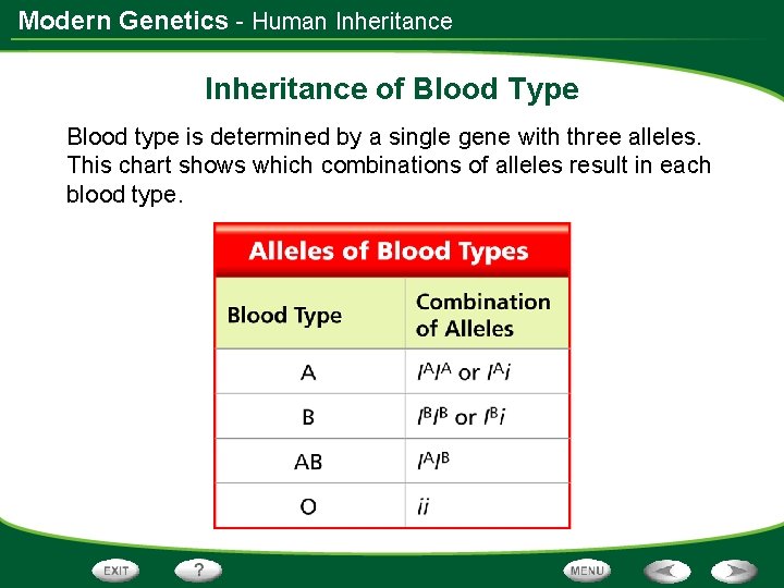 Modern Genetics - Human Inheritance of Blood Type Blood type is determined by a