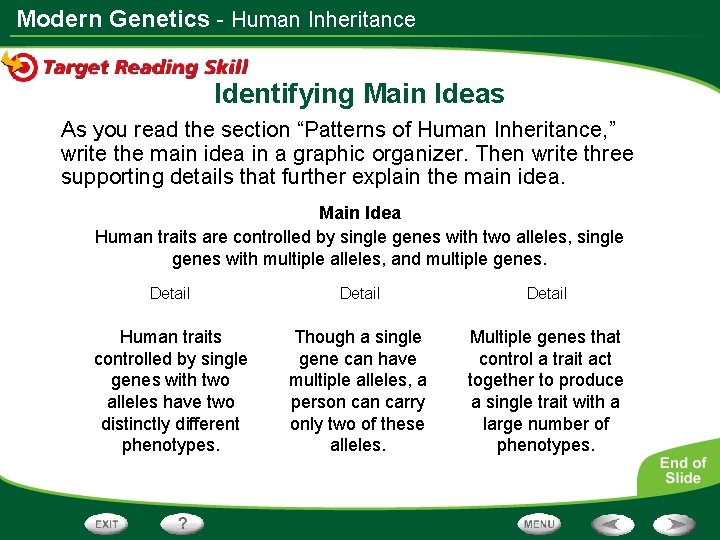 Modern Genetics - Human Inheritance Identifying Main Ideas As you read the section “Patterns