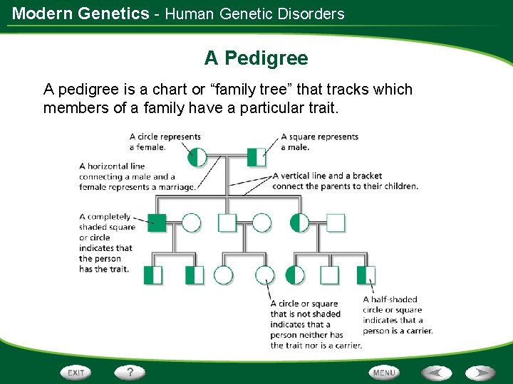Modern Genetics - Human Genetic Disorders A Pedigree A pedigree is a chart or