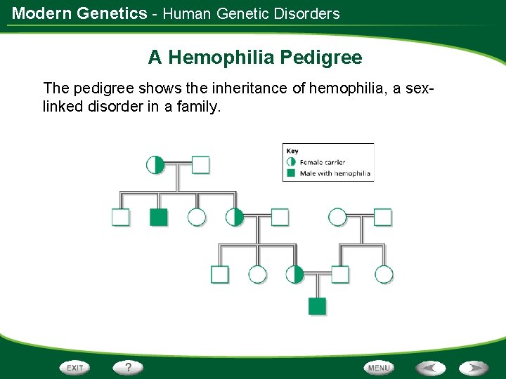 Modern Genetics - Human Genetic Disorders A Hemophilia Pedigree The pedigree shows the inheritance