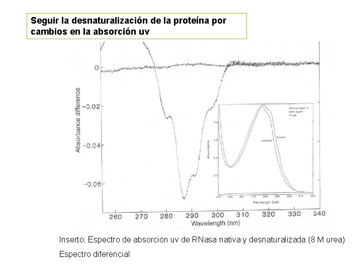 Seguir la desnaturalización de la proteína por cambios en la absorción uv Inserto: Espectro