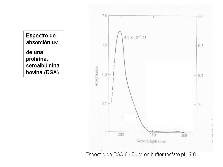 Espectro de absorción uv de una proteína, seroalbúmina bovina (BSA) Espectro de BSA 0.
