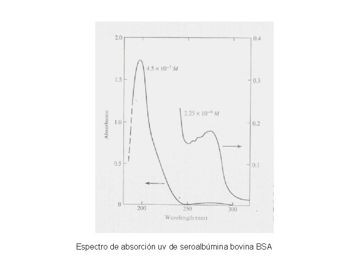 Espectro de absorción uv de seroalbúmina bovina BSA 