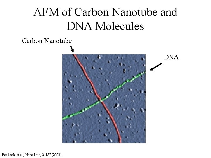 AFM of Carbon Nanotube and DNA Molecules Carbon Nanotube DNA Bockrath, et al. ,