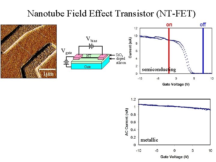 Nanotube Field Effect Transistor (NT-FET) on Vbias Vgate NT Gate 1 mm Si. O