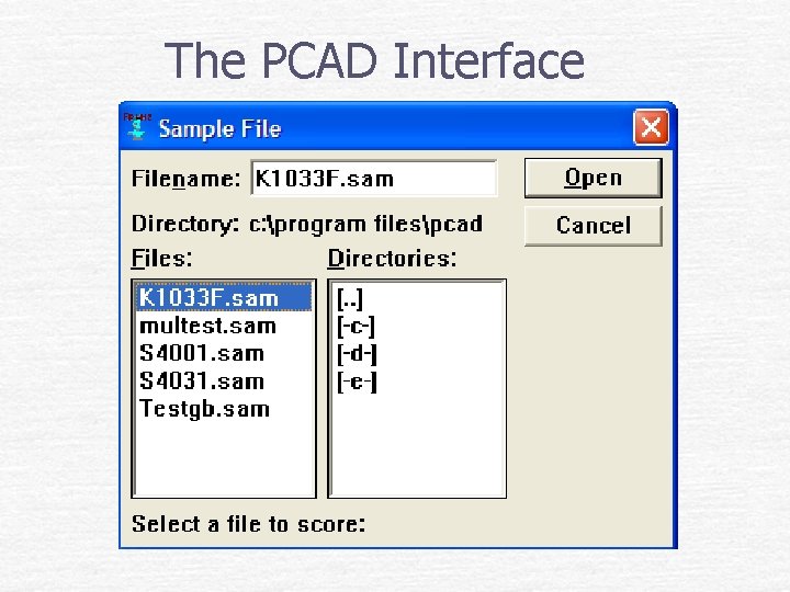 The PCAD Interface 