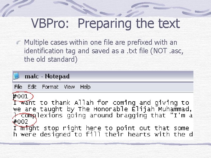 VBPro: Preparing the text Multiple cases within one file are prefixed with an identification