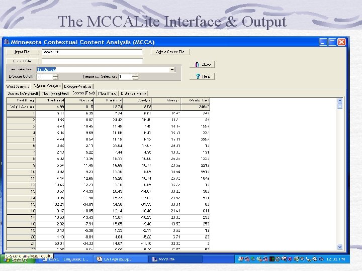The MCCALite Interface & Output 