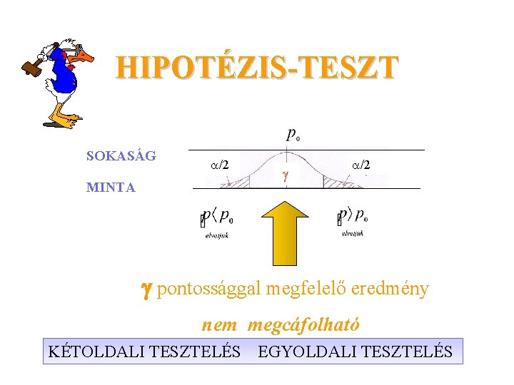 HIPOTÉZIS-TESZT SOKASÁG MINTA /2 /2 pontossággal megfelelő eredmény nem megcáfolható KÉTOLDALI TESZTELÉS EGYOLDALI TESZTELÉS