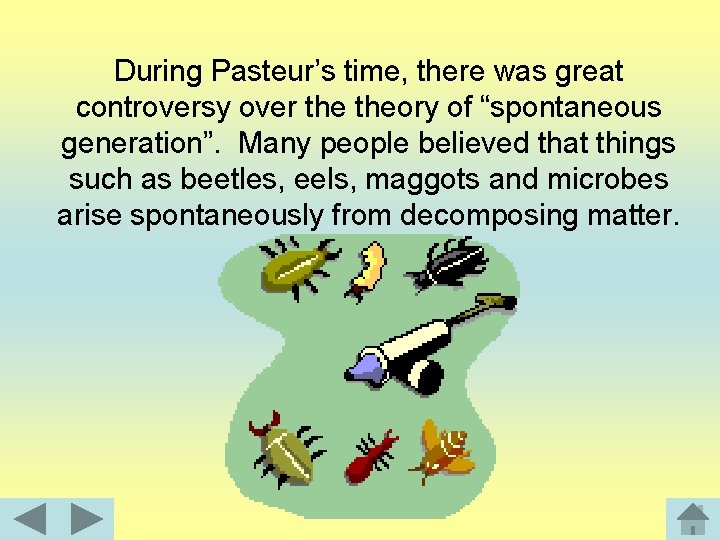 During Pasteur’s time, there was great controversy over theory of “spontaneous generation”. Many people