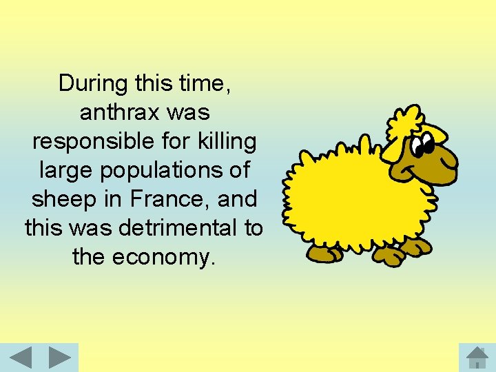 During this time, anthrax was responsible for killing large populations of sheep in France,