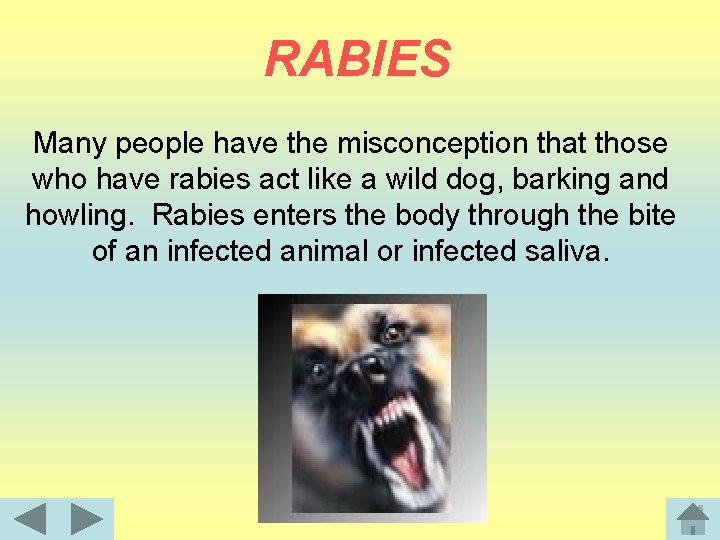RABIES Many people have the misconception that those who have rabies act like a