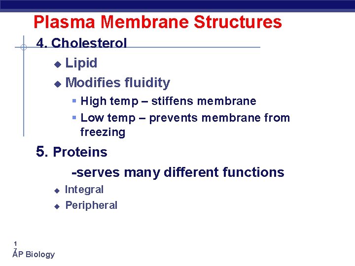 Plasma Membrane Structures 4. Cholesterol u Lipid u Modifies fluidity § High temp –
