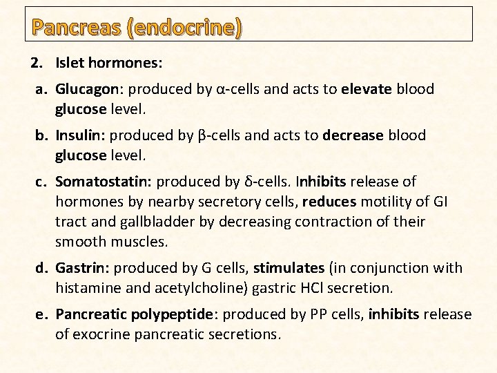 Pancreas (endocrine) 2. Islet hormones: a. Glucagon: produced by α-cells and acts to elevate